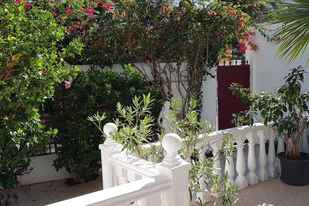 Apartamento Luminoso Con Patio Y Jardin プエルト・デ・ラ・クルス エクステリア 写真